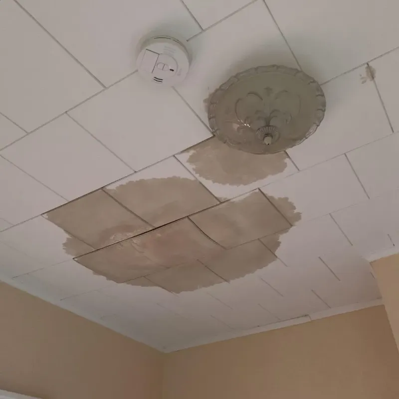 Ceiling Water Damage Repair in Westville, OK
