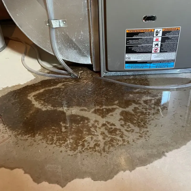 Pipe Burst and Leak Restoration in Westville, OK