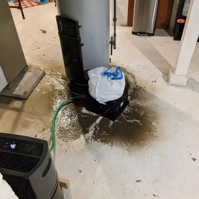 Sewage Backup Cleanup Service in Westville, OK